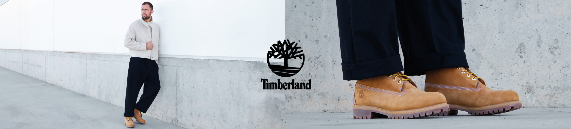 TIMBERLAND