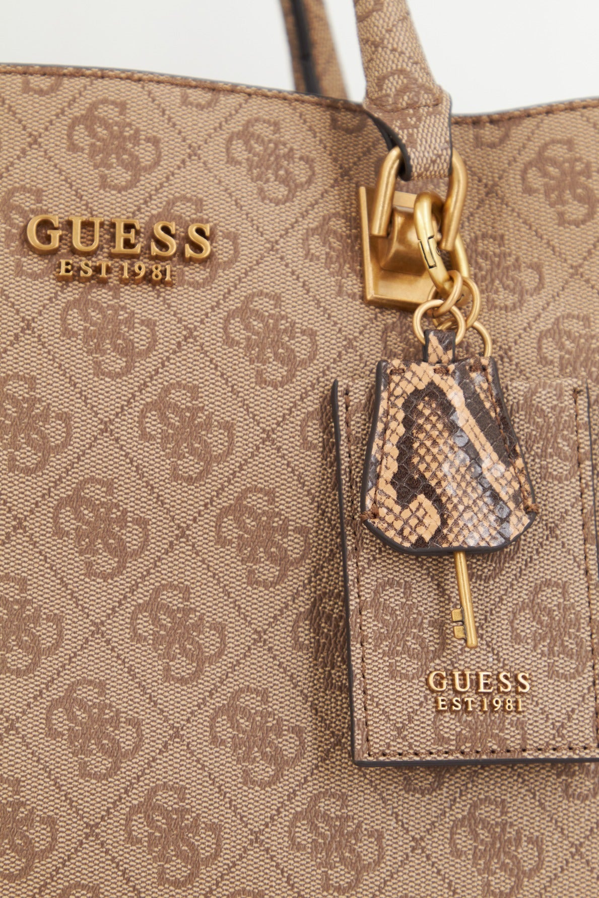 GUESS AJIONA HIGH SOCIETY en color MARRON  (4)