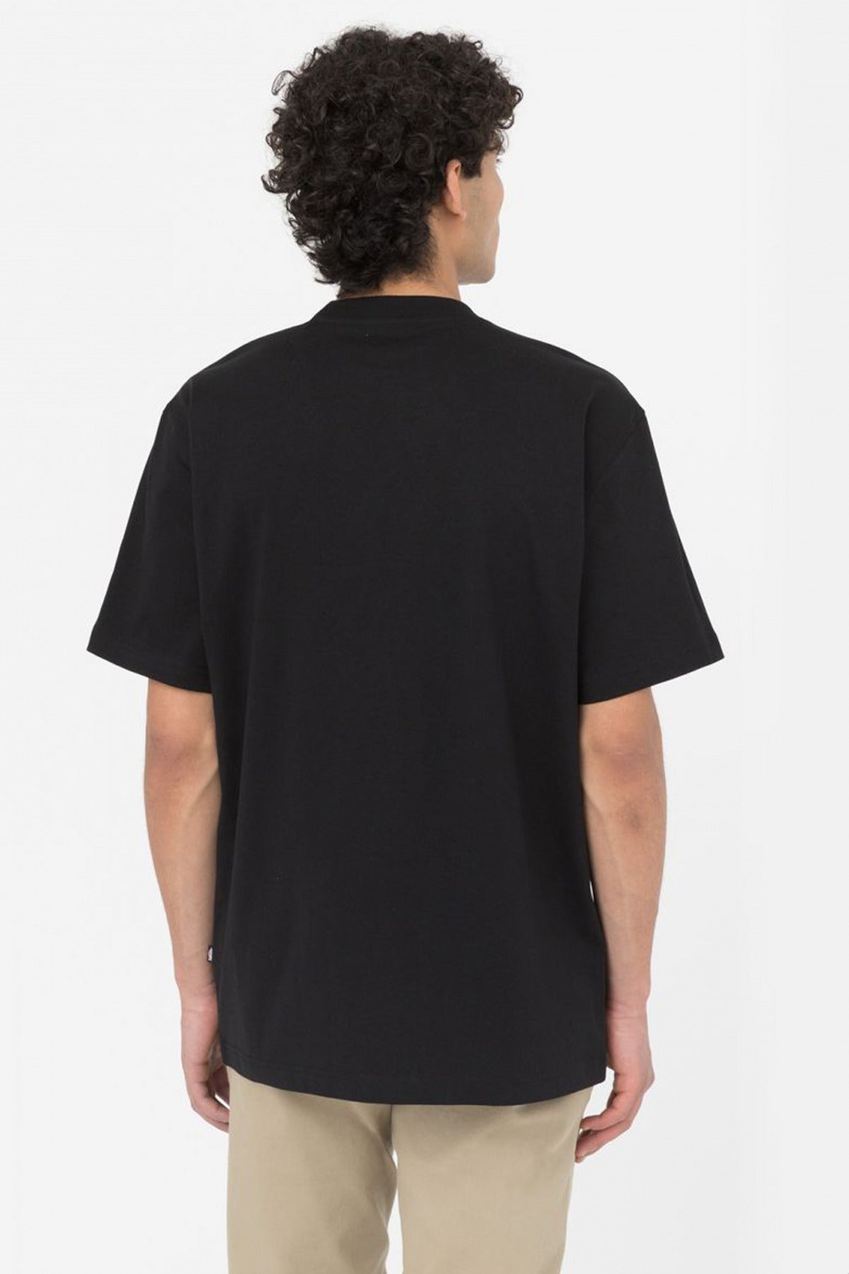 DICKIES SUMMERDALE TEE SS W en color NEGRO  (3)