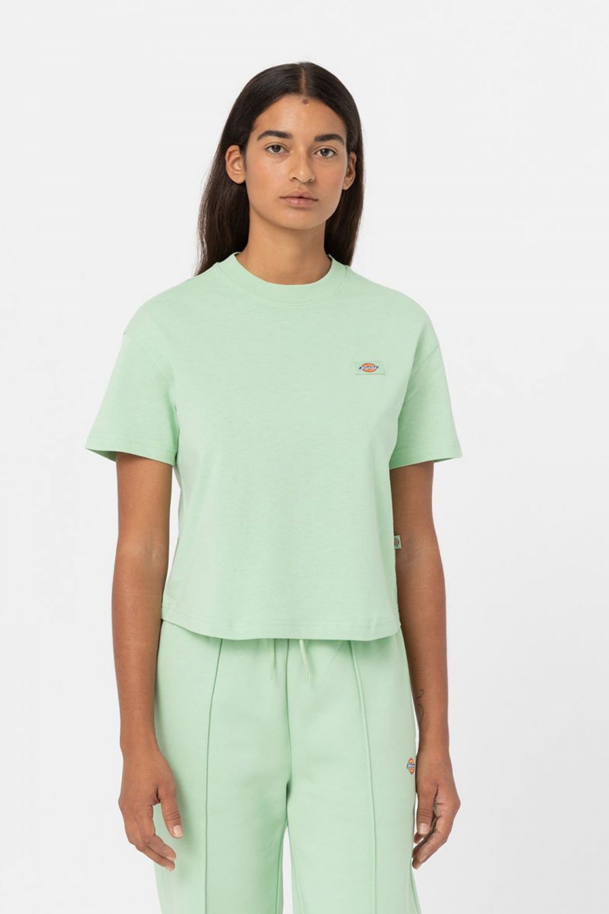 DICKIES  OAKPORT BOXY TEE SS W en color VERDE  (1)