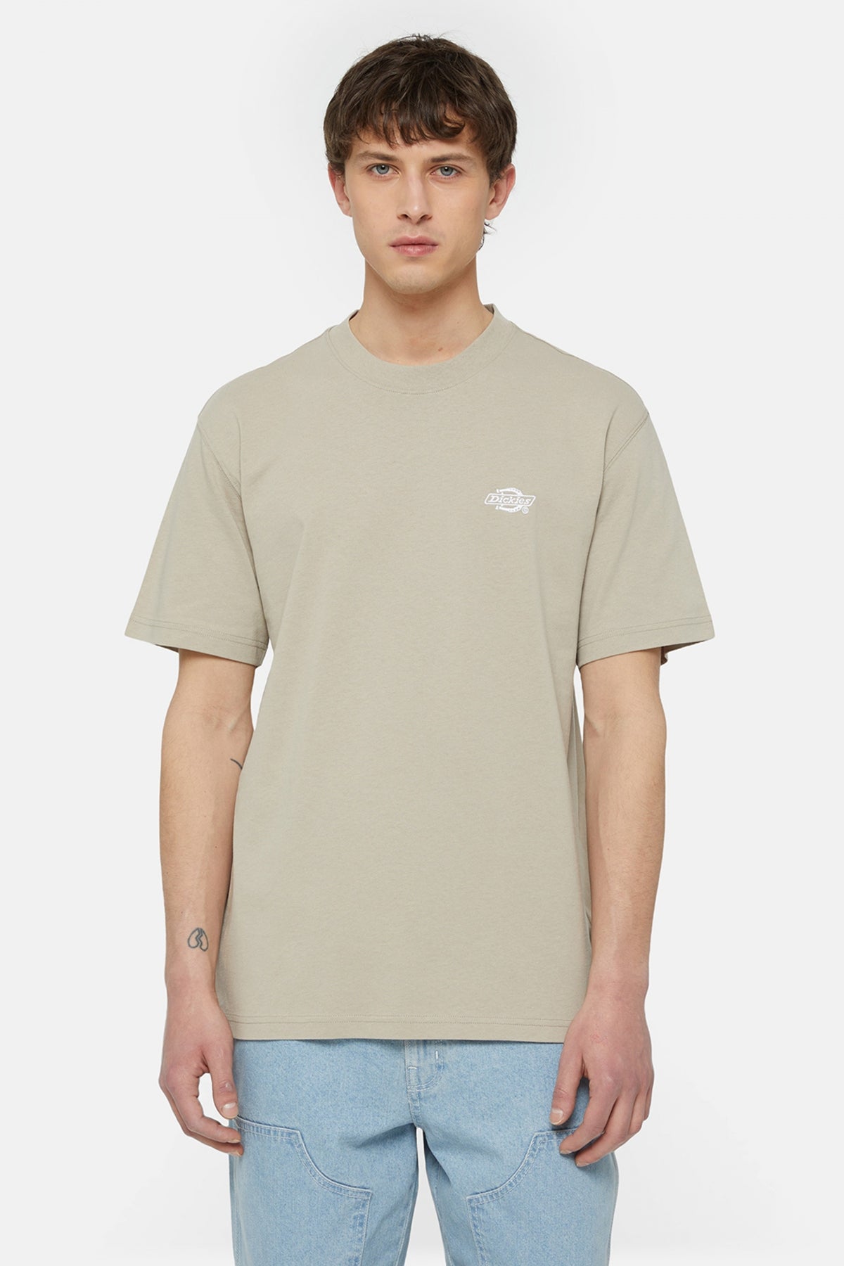 DICKIES SUMMERDALE SS TEE en color MARRON  (2)