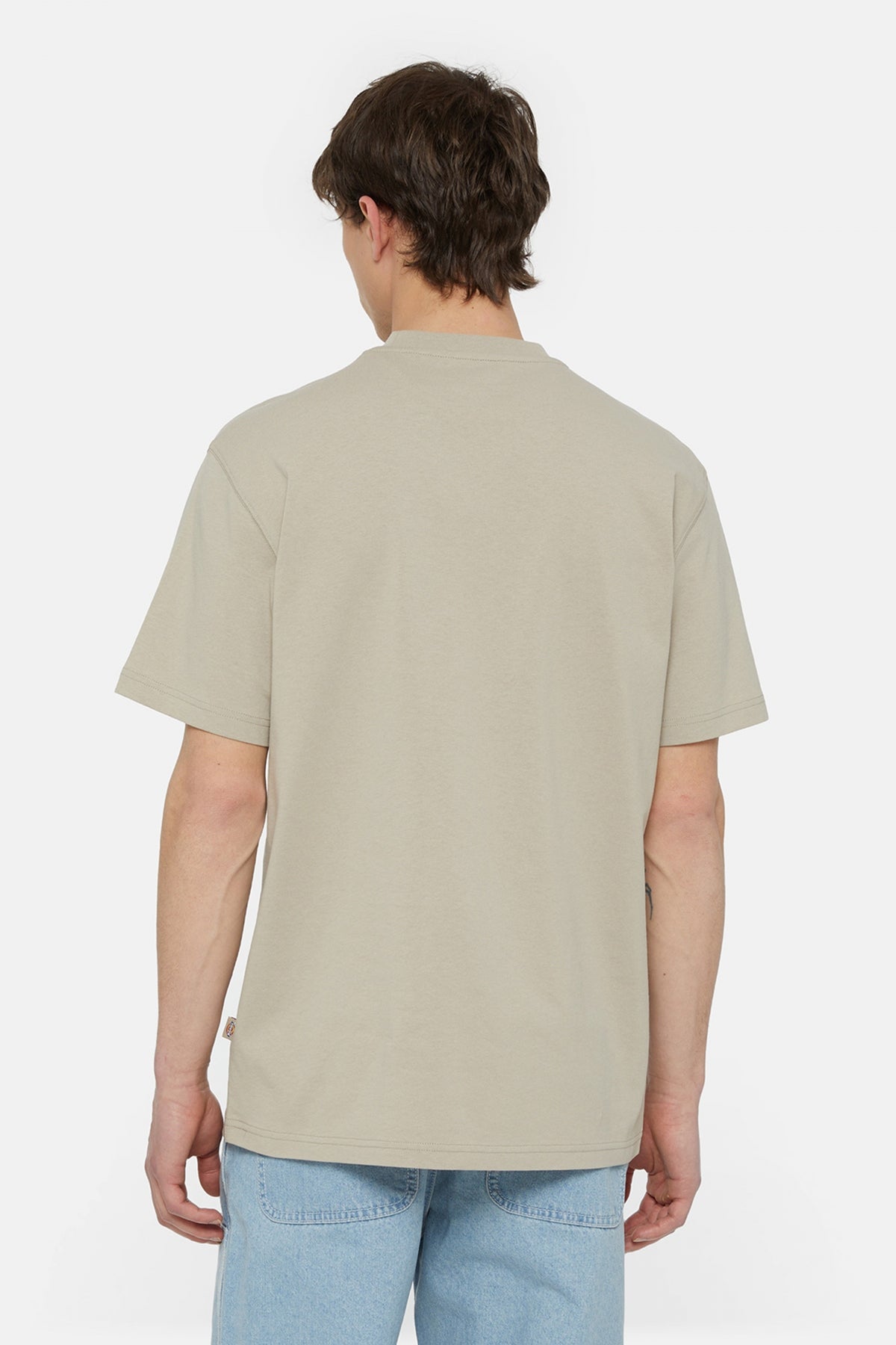 DICKIES SUMMERDALE SS TEE en color MARRON  (3)