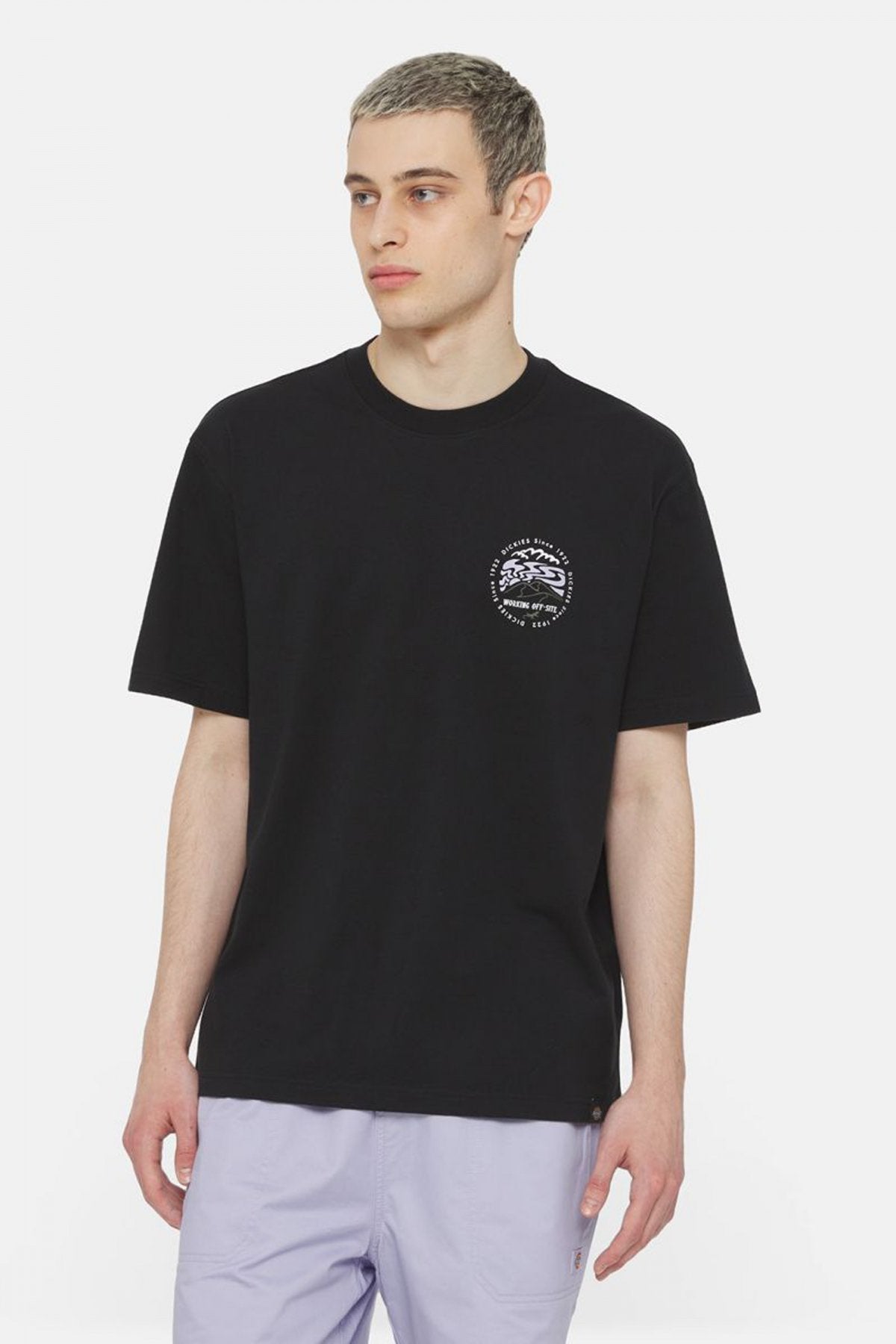 DICKIES  SS STANARDSVILLE TEE en color NEGRO  (1)