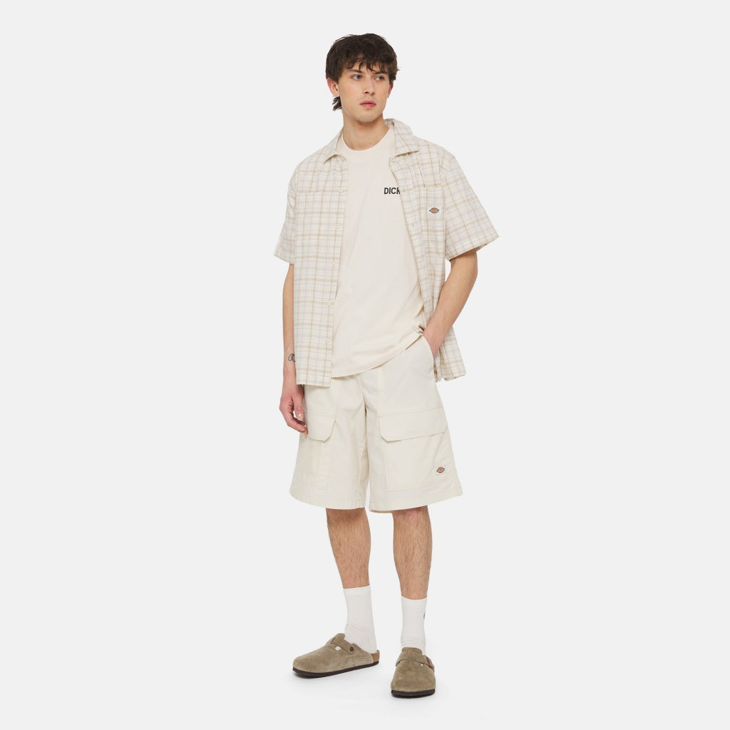 DICKIES BEACH TEE SS en color BLANCO  (7)