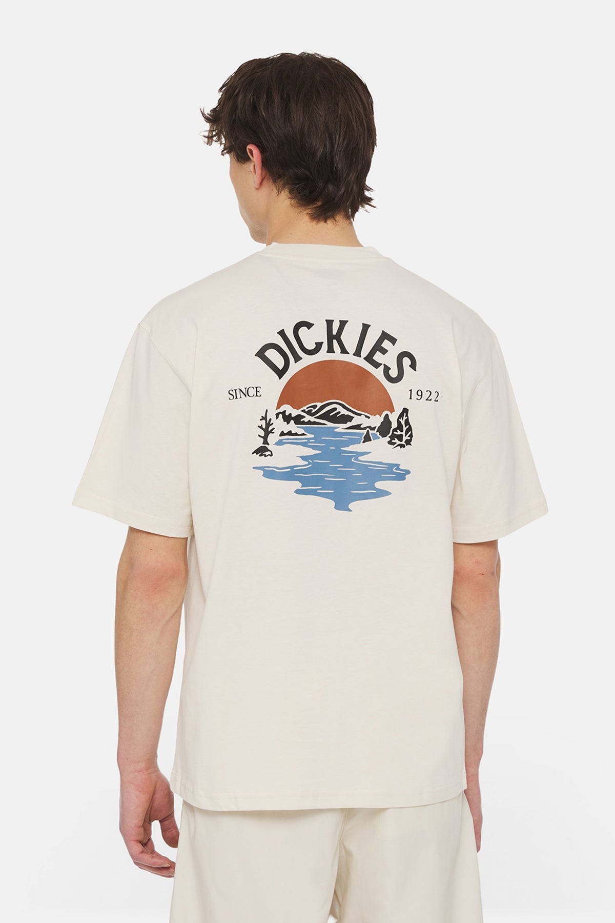 DICKIES BEACH TEE SS en color BLANCO  (2)