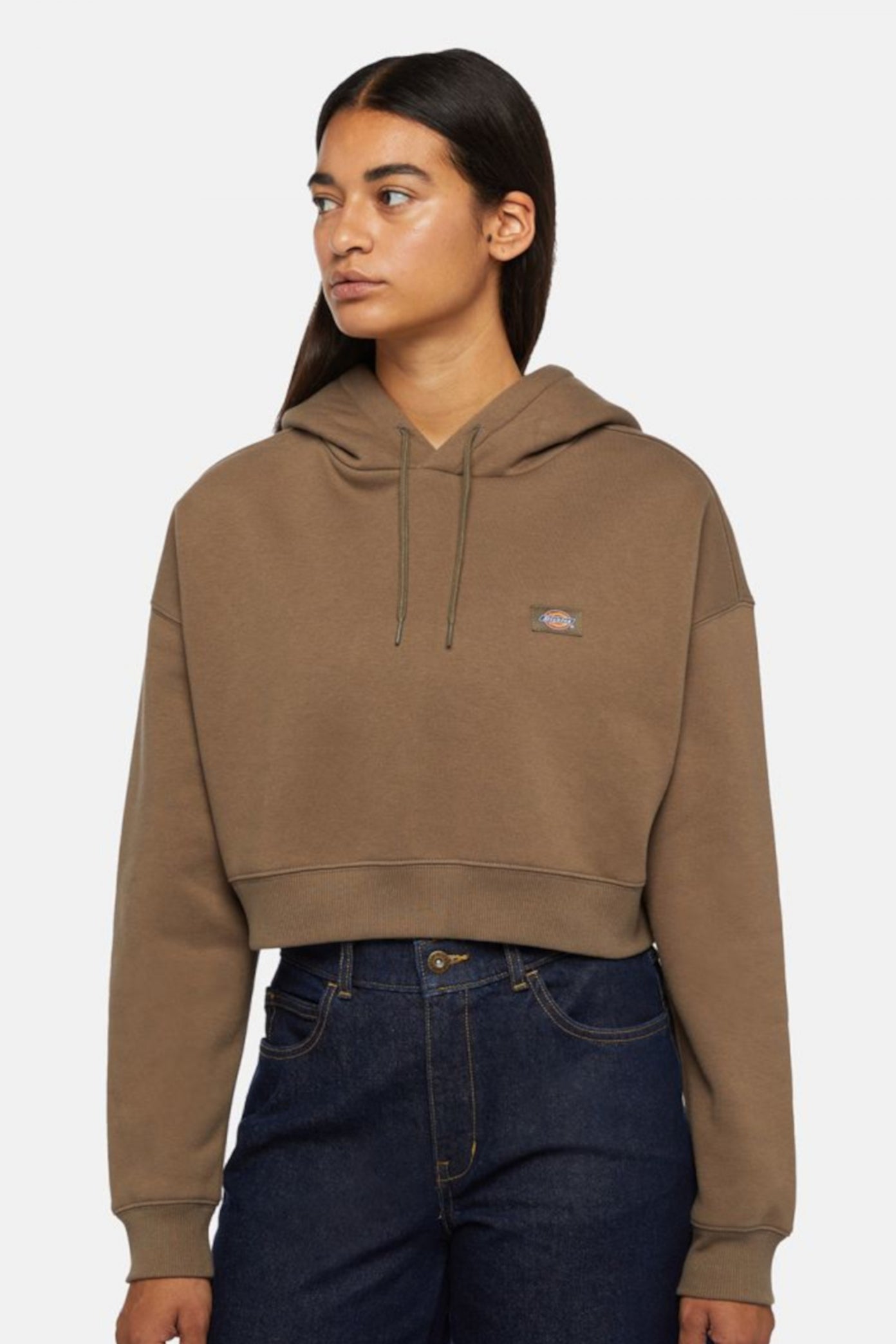 DICKIES OAKPORT CROPPED HOODIE en color MARRON  (1)