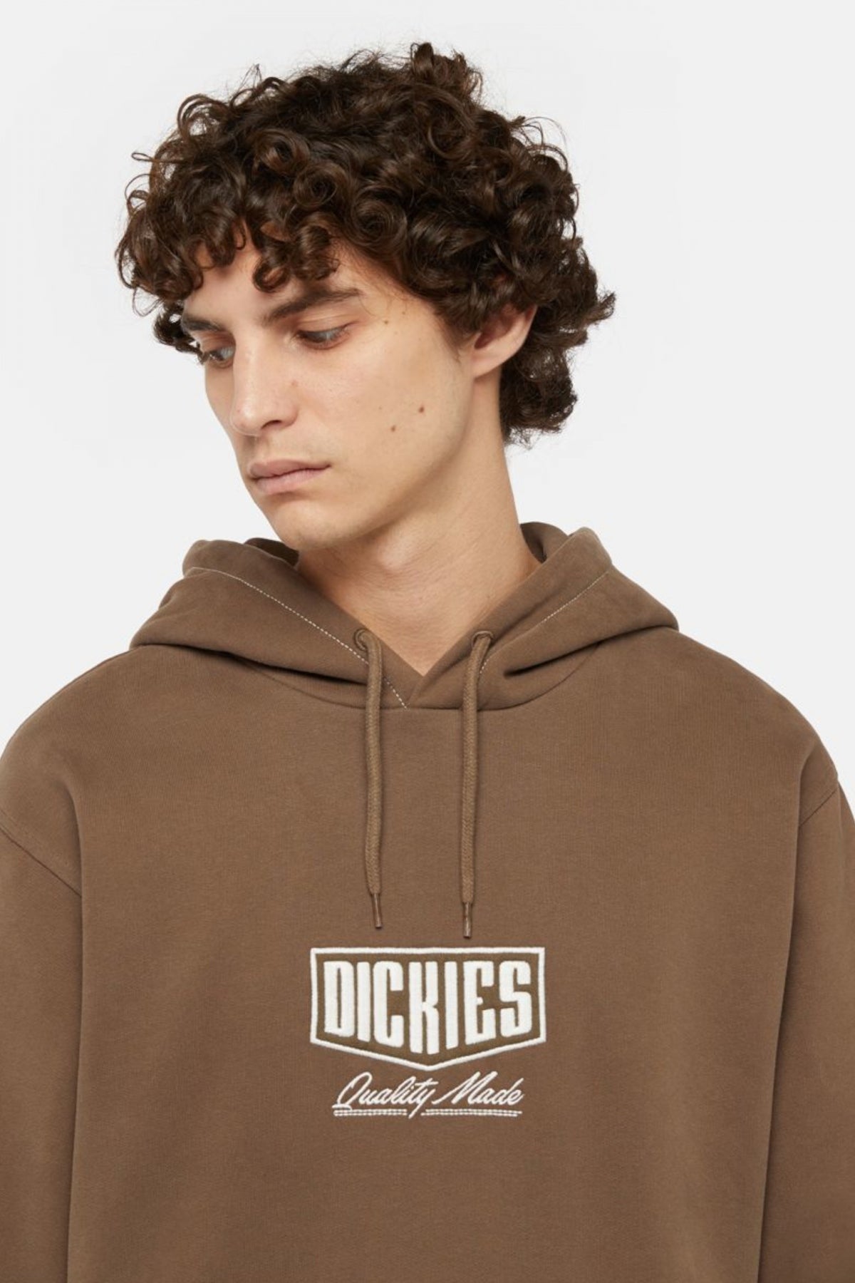 DICKIES PHILIPSBURG HOODIE en color MARRON  (4)