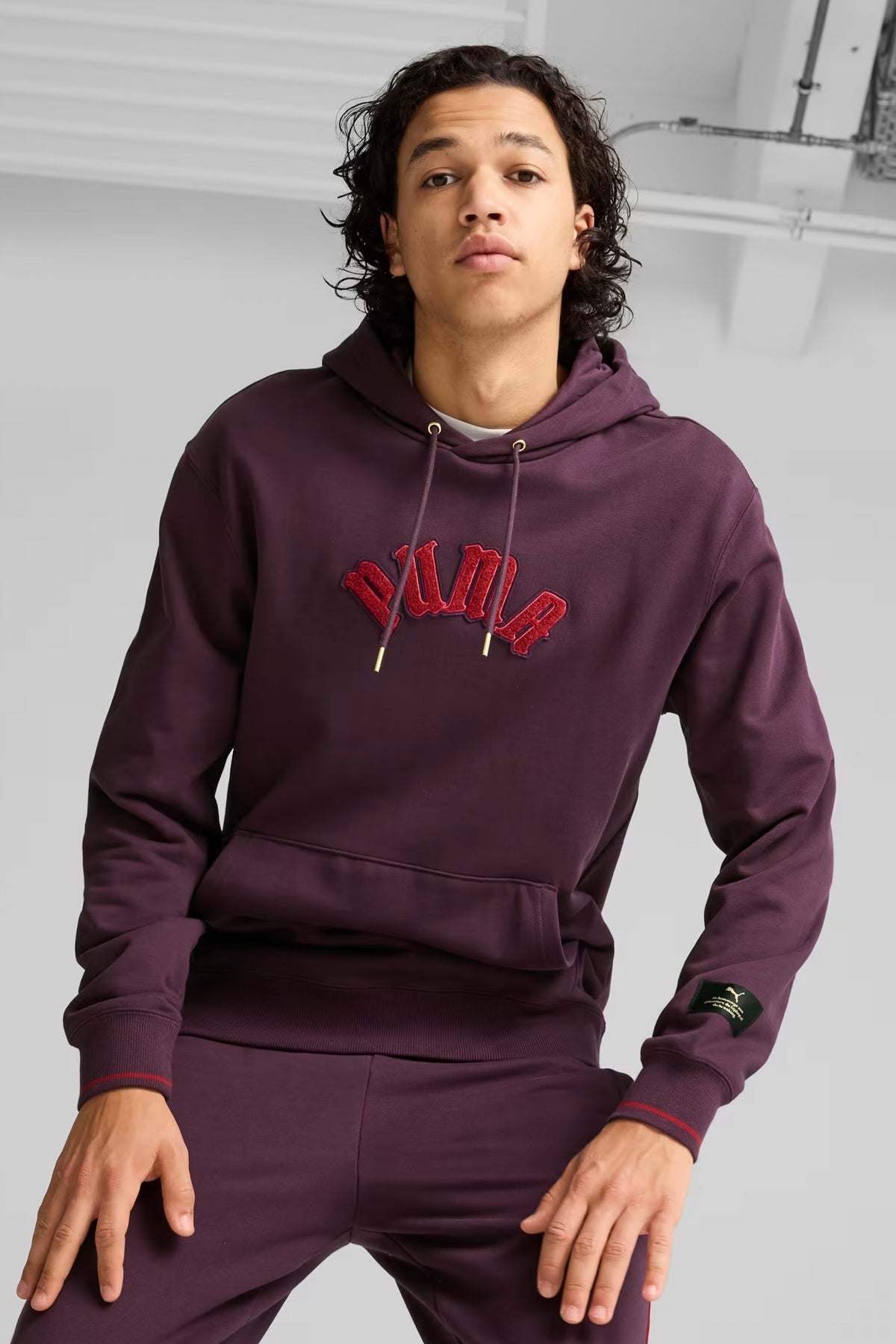 PUMA CLASSICS PLAY PARIS HOODIE en color VIOLETA  (1)