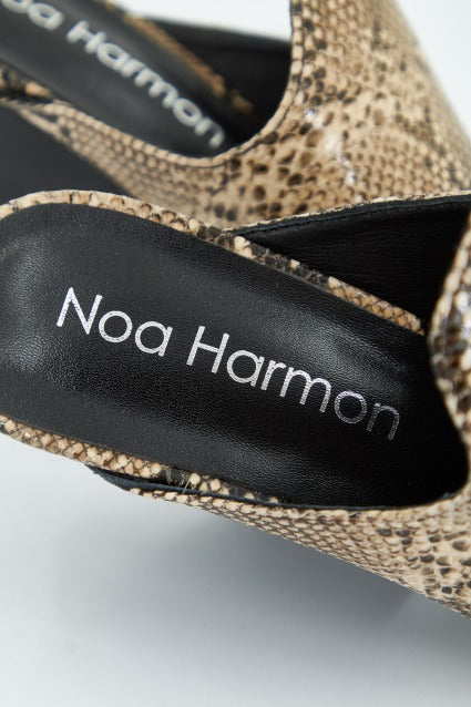 NOA HARMON N en color ANIMAL PRINT  (4)