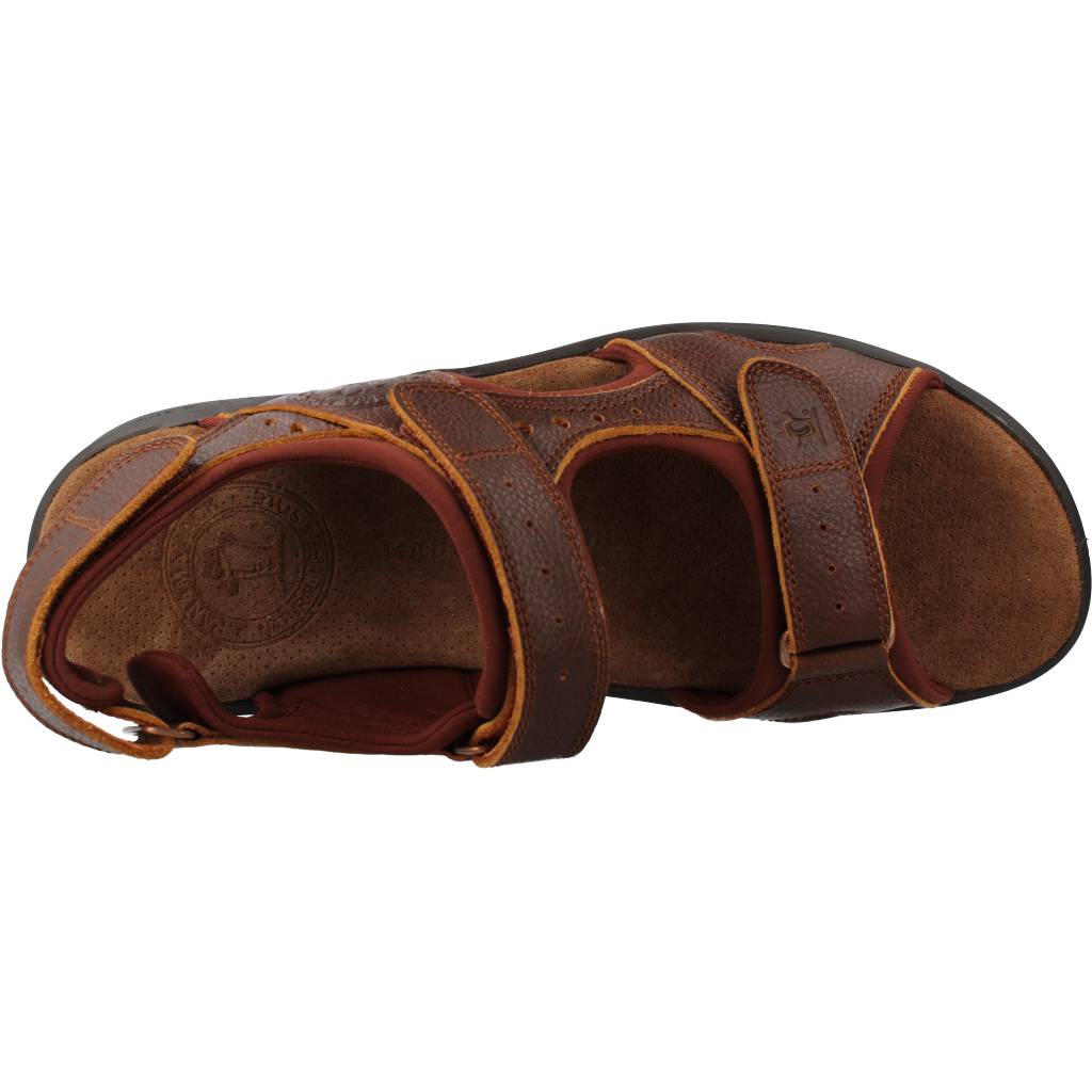 PANAMA JACK SALTON BASICSC en color MARRON  (7)