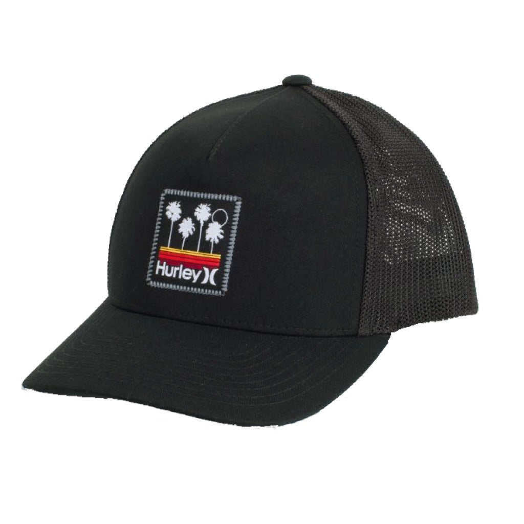 HURLEY  M SUNDAYS TRUCKER en color AZUL  (3)